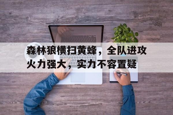 森林狼横扫黄蜂，全队进攻火力强大，实力不容置疑